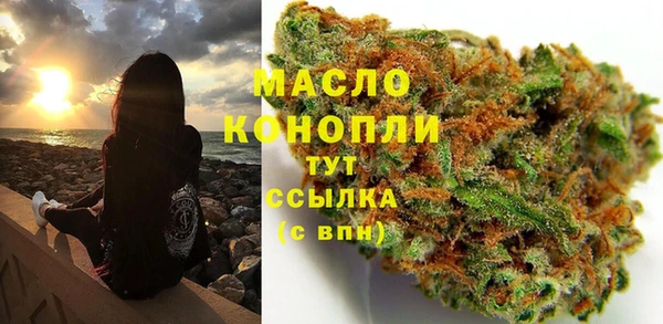 мдпв Богданович